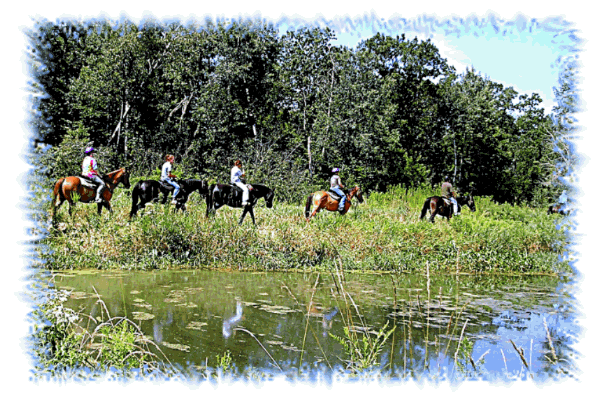 trail-ride-pond.gif